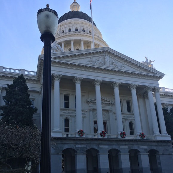 Meet your Posher, Paul - Picture 3 of 4